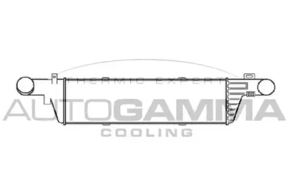 autogamma-102018
