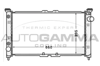 autogamma-102145