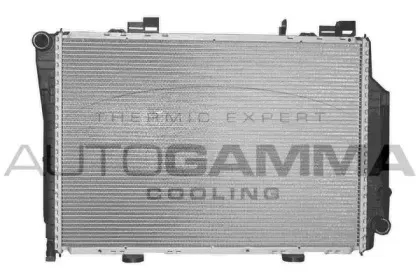 autogamma-102148