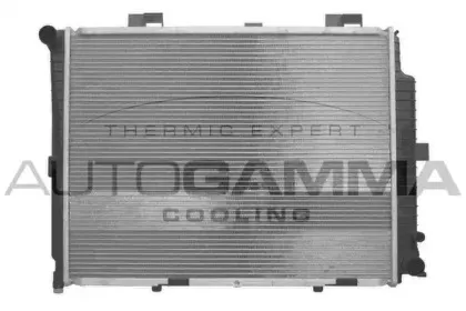 autogamma-102152