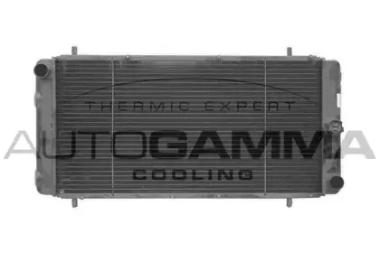 autogamma-102285