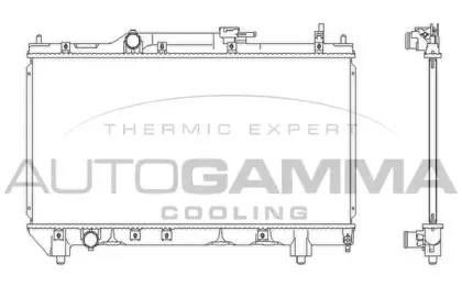 autogamma-102347