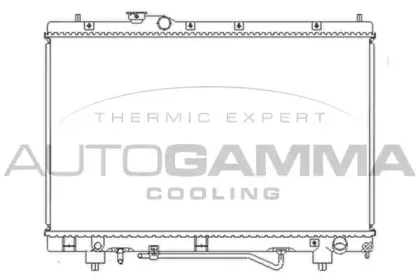 autogamma-102371