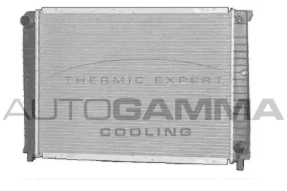 autogamma-102385