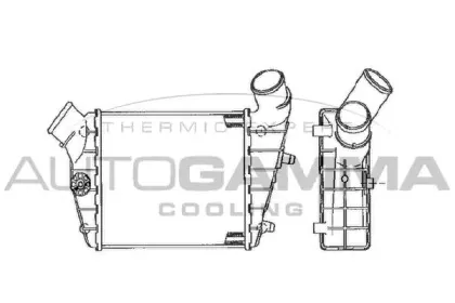 autogamma-102391