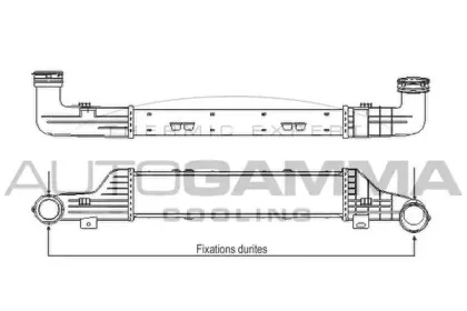 autogamma-102399