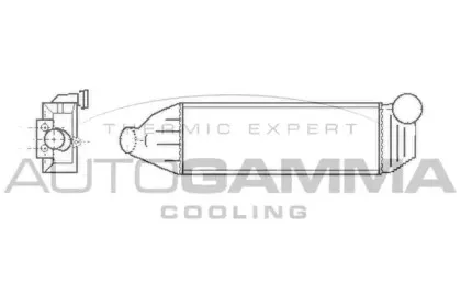 autogamma-102402