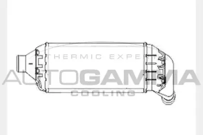 autogamma-102403