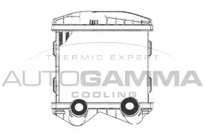 autogamma-102409