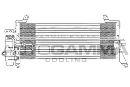 autogamma-102640
