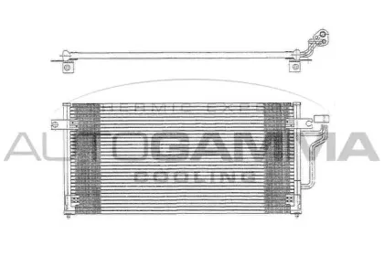 autogamma-102711