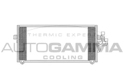autogamma-102712