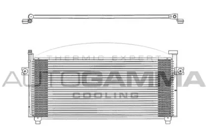 autogamma-102721