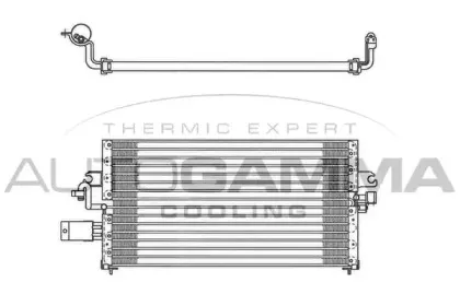 autogamma-102725