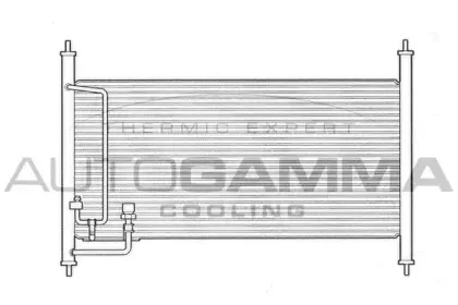 autogamma-102728