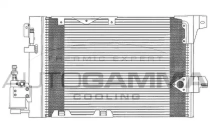 autogamma-102734