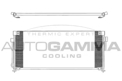 autogamma-102790