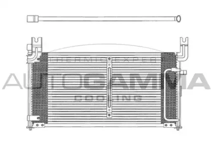 autogamma-102791