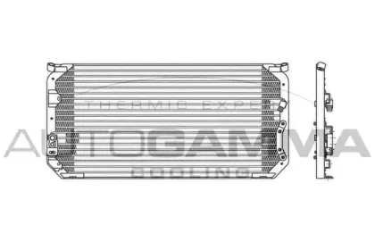 autogamma-102800