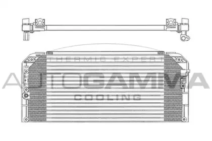 autogamma-102801
