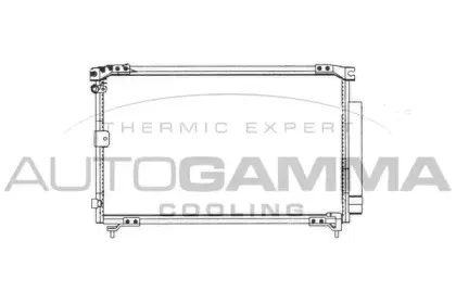 autogamma-102808