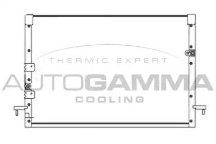 autogamma-102810