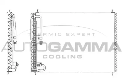 autogamma-102828