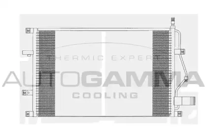 autogamma-102835