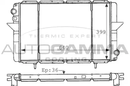 autogamma-102852