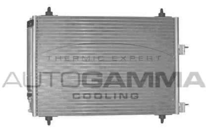 autogamma-102887