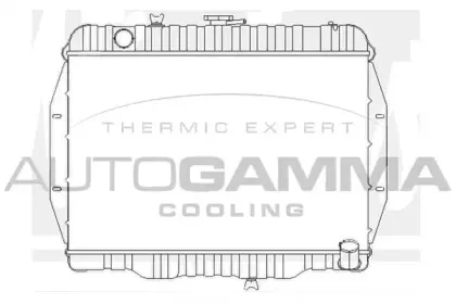 autogamma-102902