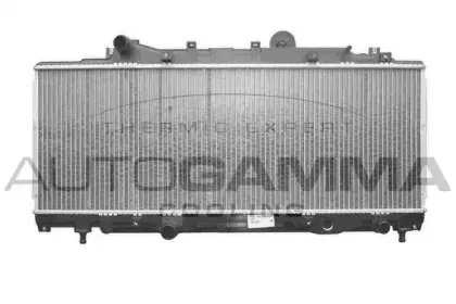 autogamma-102914