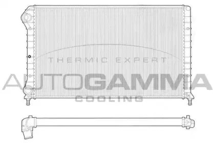 autogamma-102961