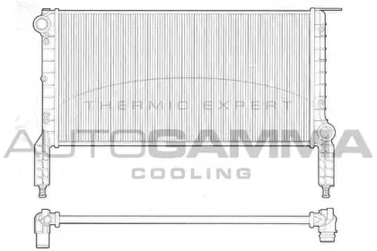 autogamma-102963