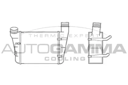 autogamma-102986