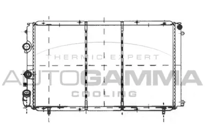 autogamma-103002