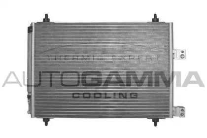autogamma-103006