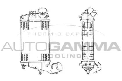 autogamma-103008