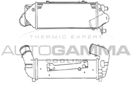 autogamma-103017