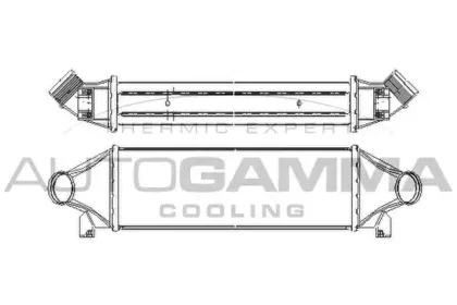 autogamma-103098