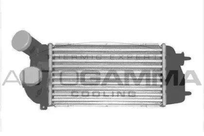 autogamma-103122