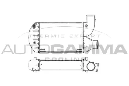 autogamma-103156