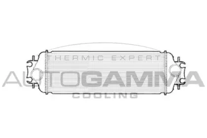 autogamma-103198