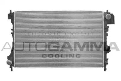 autogamma-103236