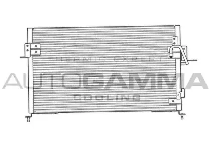 autogamma-103288
