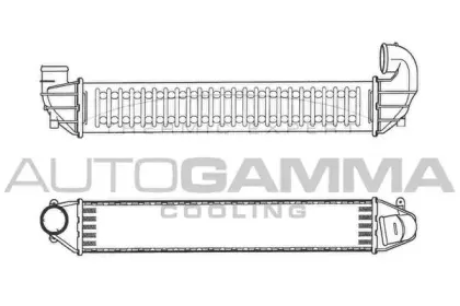 autogamma-103328