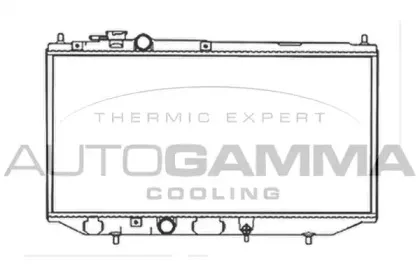 autogamma-103402