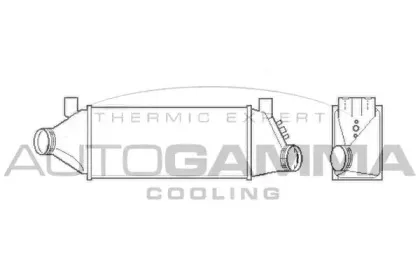 autogamma-103430