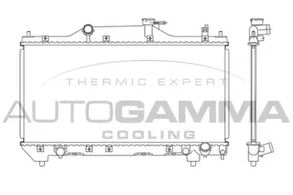 autogamma-103534