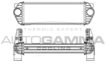autogamma-103702